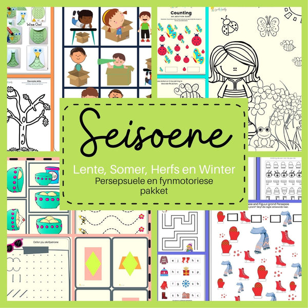 Seisoene: Persepsuele en Fynmotoriese Pakket WriteAbility 