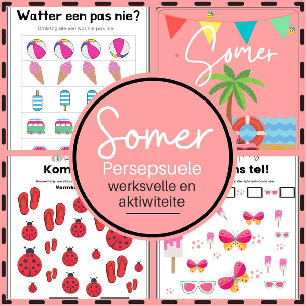 Seisoene: Persepsuele en Fynmotoriese Pakket WriteAbility 