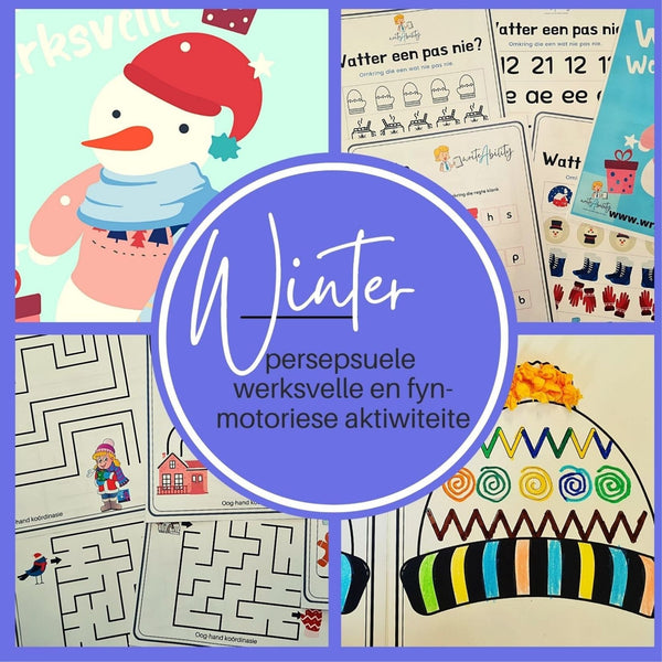 Seisoene: Persepsuele en Fynmotoriese Pakket WriteAbility 