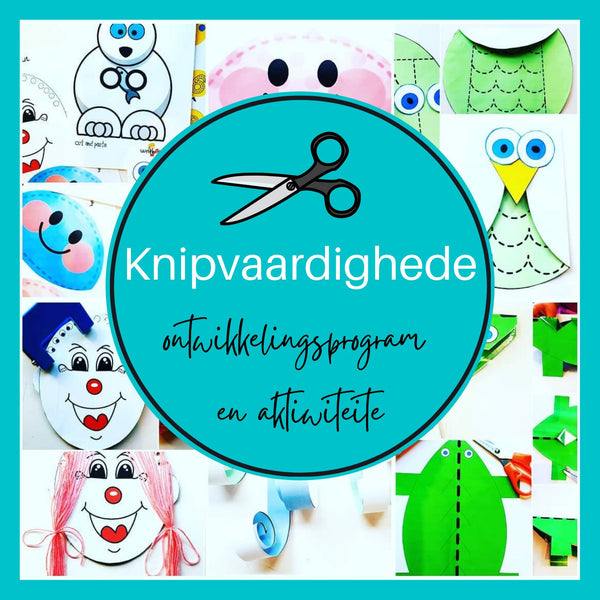 WriteAbility Pakket (4 tot 6 jaar) WriteAbility 